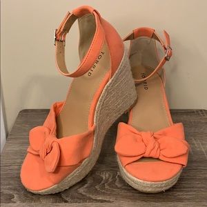 Torrid wedges
